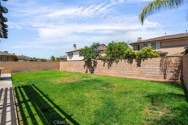 14538 Eagle River Rd, Eastvale, CA 92880 - view of yard