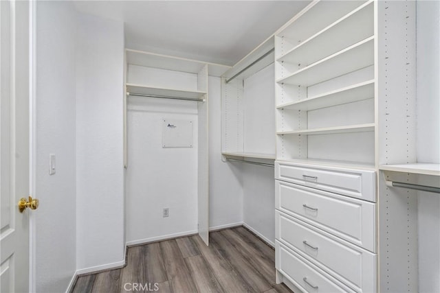 spacious closet featuring wood finished floors