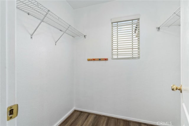spacious closet featuring dark wood finished floors