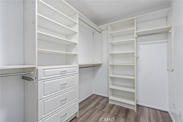walk in closet with dark wood-style flooring