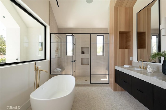 bathroom featuring a shower stall, a freestanding bath, plenty of natural light, and vanity