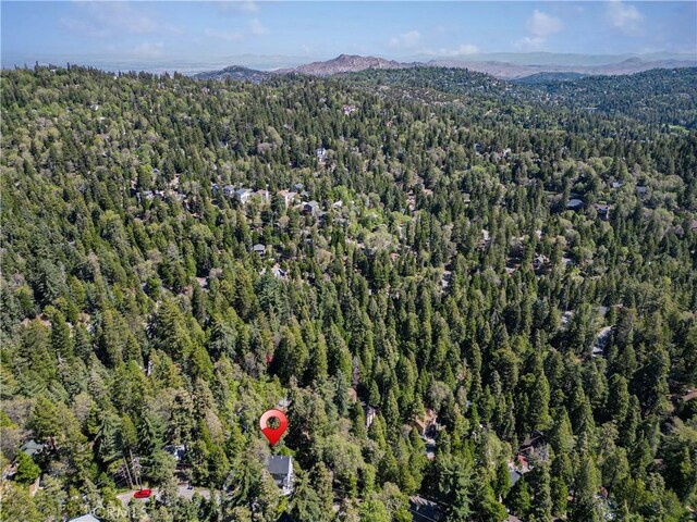 576 Rose Ln, Twin Peaks, CA 92391 - aerial view of property's location featuring a heavily wooded area and mountains