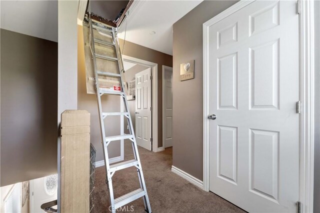 576 Rose Ln, Twin Peaks, CA 92391 - hallway with carpet flooring and baseboards
