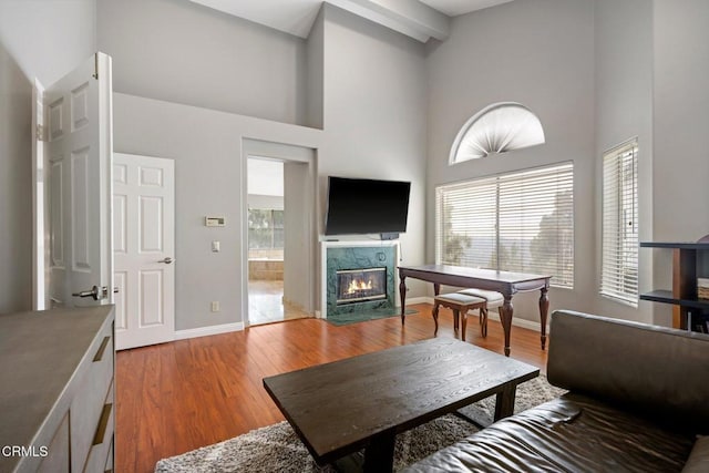 1985 Erin Way, Glendale, CA 91206 - living area with a towering ceiling, a high end fireplace, wood finished floors, and baseboards