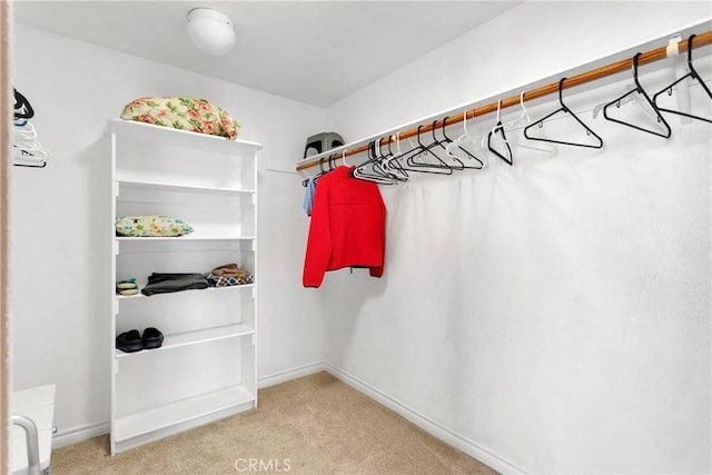 spacious closet with carpet