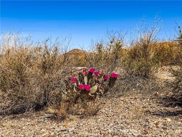120 Old Spanish Trail Hwy, Death Valley, CA 92389 - photo 22