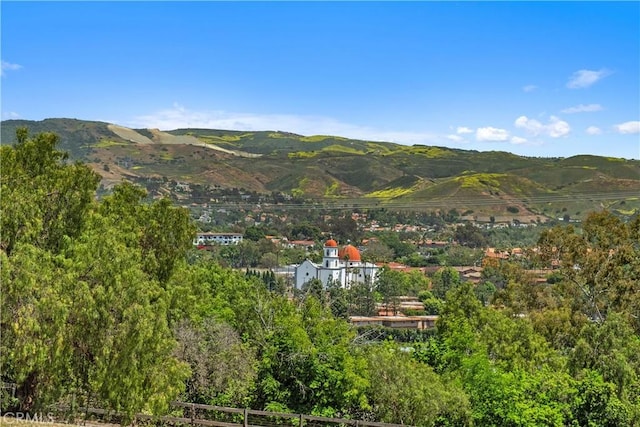 31401 Aguacate Rd, San Juan Capistrano, CA 92675 - photo 45