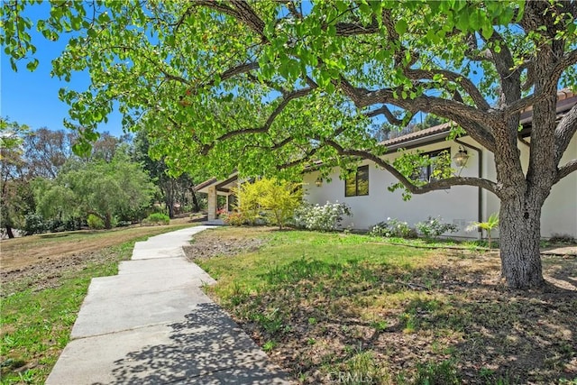31401 Aguacate Rd, San Juan Capistrano, CA 92675 - photo 5