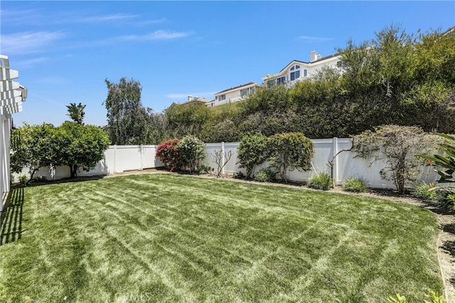 2146 Via Aguila, San Clemente, CA 92673 - view of yard