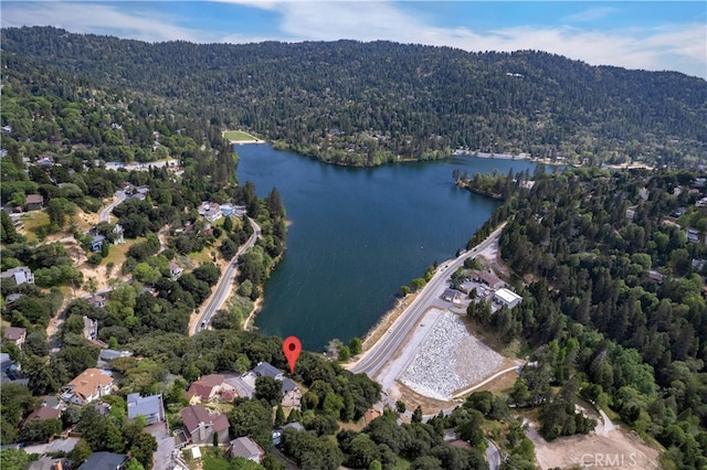 262 Delle Dr, Crestline, CA 92325 - photo 59