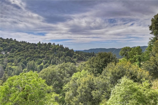 262 Delle Dr, Crestline, CA 92325 - photo 48