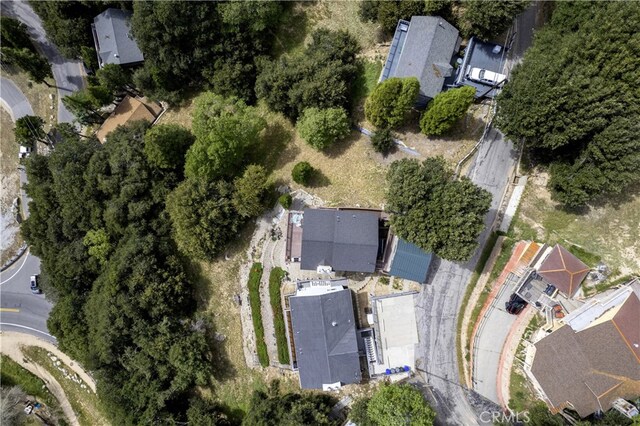 262 Delle Dr, Crestline, CA 92325 - photo 46