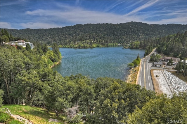 262 Delle Dr, Crestline, CA 92325 - photo 49