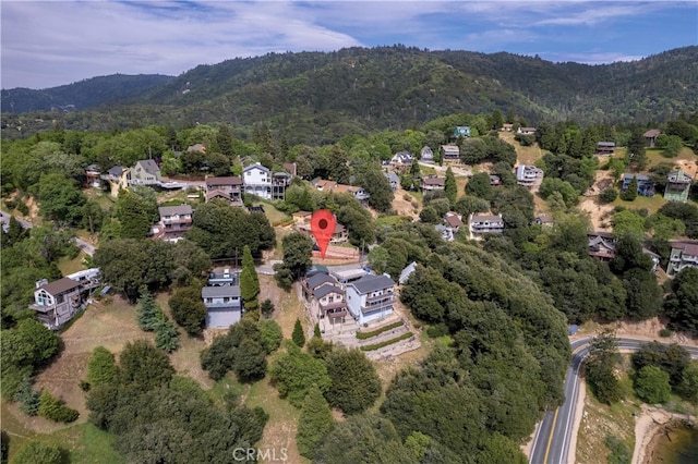 262 Delle Dr, Crestline, CA 92325 - photo 44
