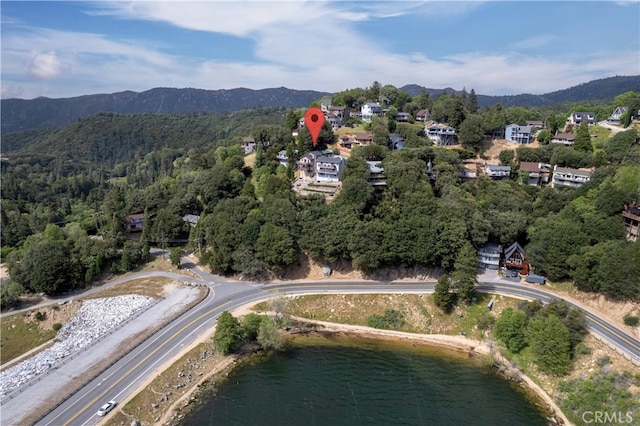 262 Delle Dr, Crestline, CA 92325 - photo 58