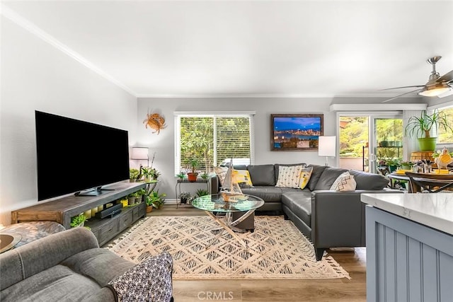 living area featuring crown molding, wood finished floors, a ceiling fan, and baseboards