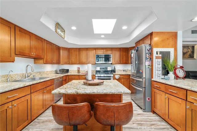 kitchen with appliances with stainless steel finishes, a sink, a tray ceiling, a skylight, and light wood-type flooring