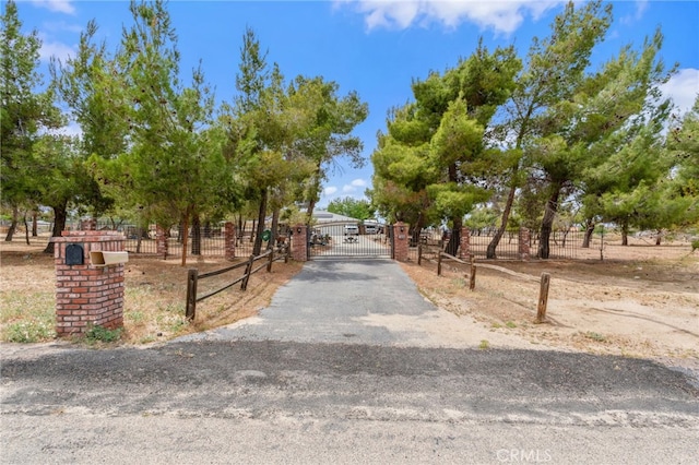 view of asphalt driveway with a gate and a gated entry