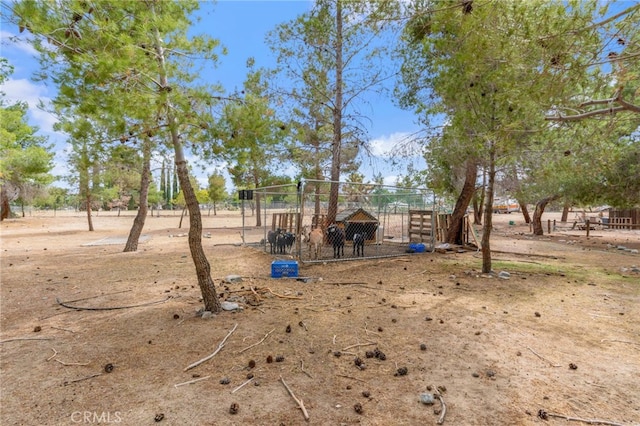 view of yard with exterior structure and an outbuilding