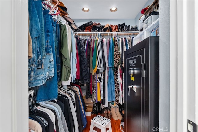 view of spacious closet