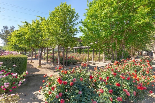 23965 Lawson Rd, Corona, CA 92883 - view of surrounding community