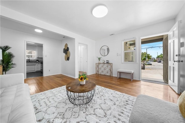 living room featuring wood finished floors, healthy amount of natural light, and baseboards