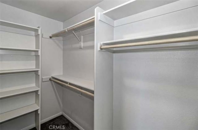 17602 Main St, Hesperia, CA 92345 - view of walk in closet