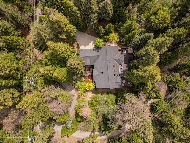 523 Dogwood Canyon Rd, Blue Jay, CA 92317 - aerial view of property and surrounding area