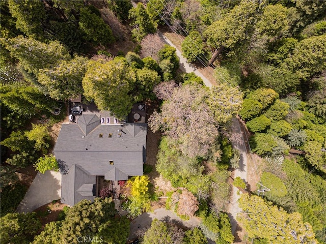 523 Dogwood Canyon Rd, Blue Jay, CA 92317 - view from above of property