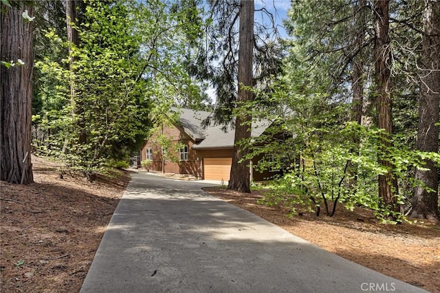 523 Dogwood Canyon Rd, Blue Jay, CA 92317 - view of property hidden behind natural elements featuring driveway