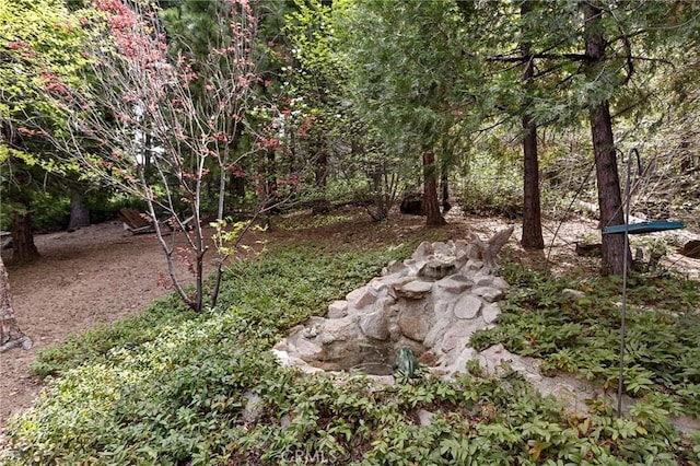523 Dogwood Canyon Rd, Blue Jay, CA 92317 - view of yard featuring a forest view