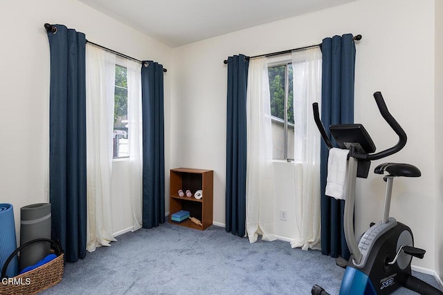 250 S Berkeley Ave, Pasadena, CA 91107 - workout area with carpet floors and baseboards