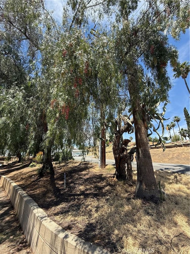 2390 Prenda Ave, Riverside, CA 92504 - view of yard