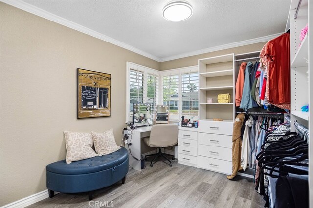 1325 N Birchnell Ave, San Dimas, CA 91773 - office space featuring ornamental molding, light wood-style floors, and a textured ceiling