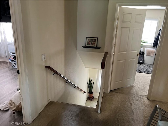 stairs with carpet flooring