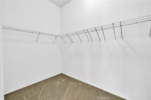 80465 Paseo De Tiempo, Indio, CA 92201 - walk in closet featuring carpet