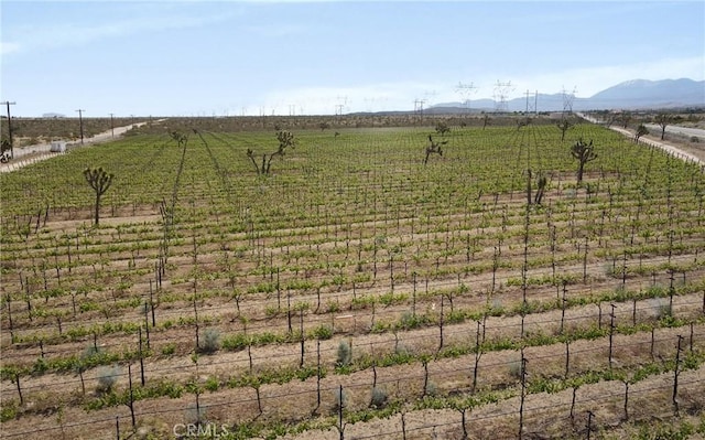 87 Fort Tejon Rd, Palmdale, CA 93552