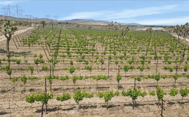 87 Fort Tejon Rd, Palmdale, CA 93552