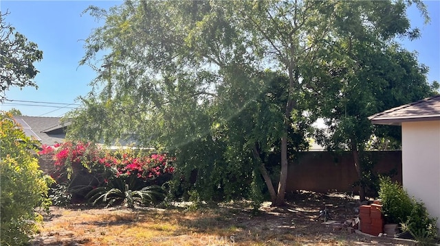 7140 N Muscatel Ave, San Gabriel, CA 91775 - view of yard