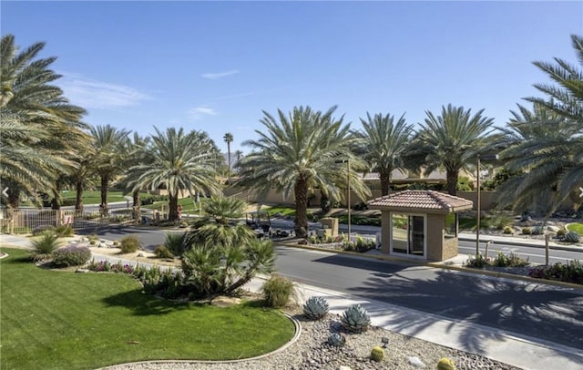 surrounding community featuring a lawn