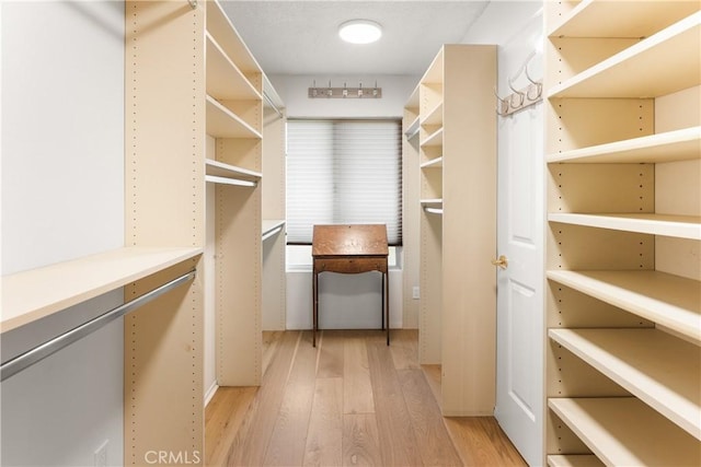 23721 Sarda Rd, Valencia, CA 91355 - spacious closet with light wood-style flooring