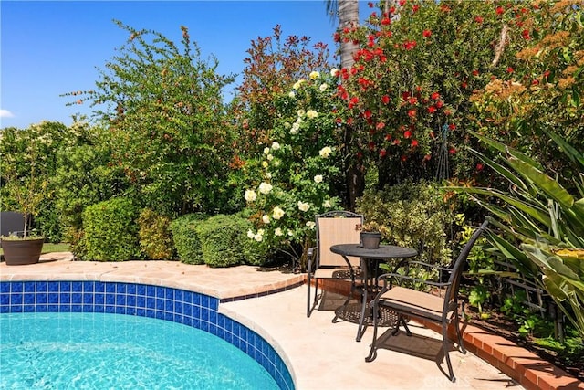 23721 Sarda Rd, Valencia, CA 91355 - outdoor pool featuring a patio