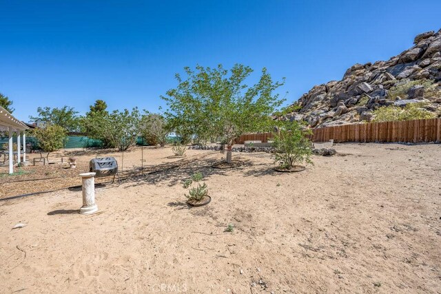 40022 172nd St E, Palmdale, CA 93591 - view of yard