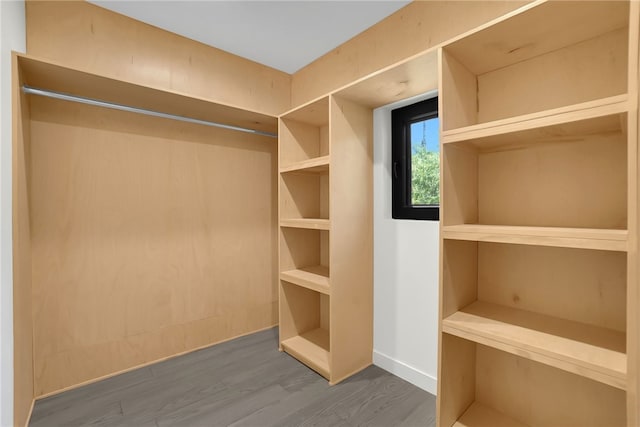 walk in closet featuring wood finished floors