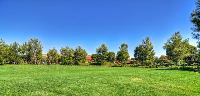 84 Bianco, Irvine, CA 92618 - photo 56