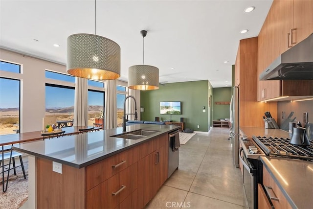 kitchen with a sink, modern cabinets, appliances with stainless steel finishes, exhaust hood, and recessed lighting