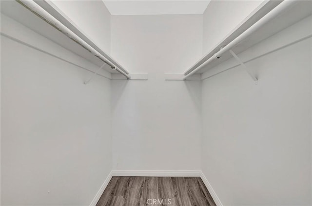 17053 Roscoe Blvd Unit 3, Northridge, CA 91325 - walk in closet with wood finished floors