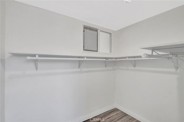 17053 Roscoe Blvd Unit 3, Northridge, CA 91325 - walk in closet with wood finished floors