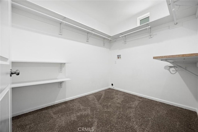 walk in closet featuring carpet flooring