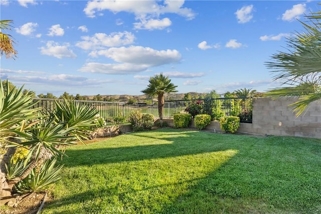 4064 Prestwick Ln, Palmdale, CA 93551 - view of yard
